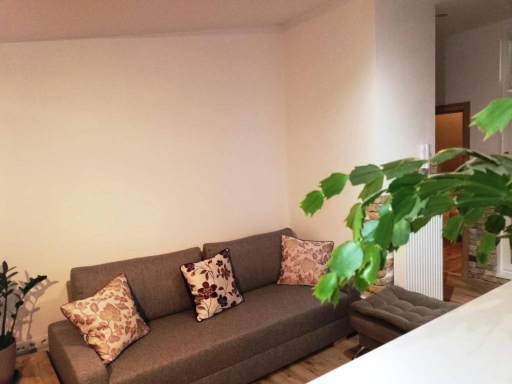 Galeria Stastie Daire Senec Dış mekan fotoğraf