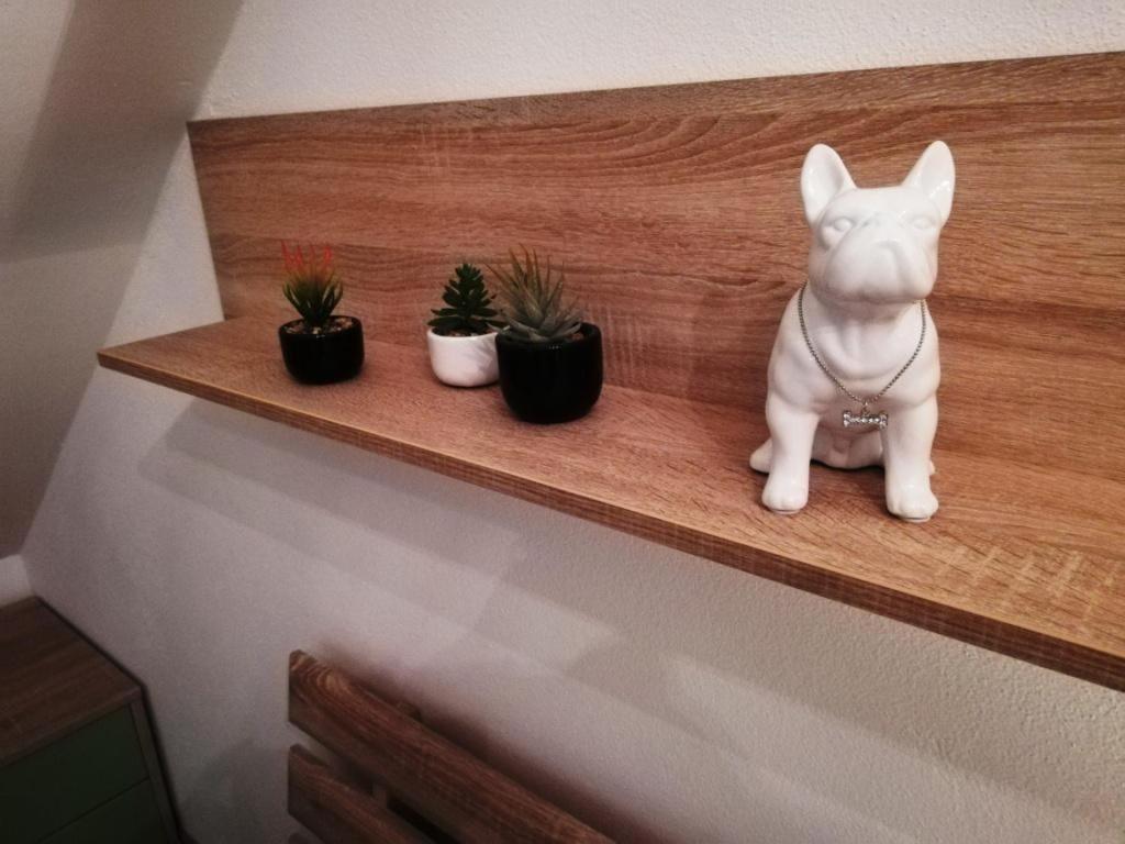 Galeria Stastie Daire Senec Dış mekan fotoğraf