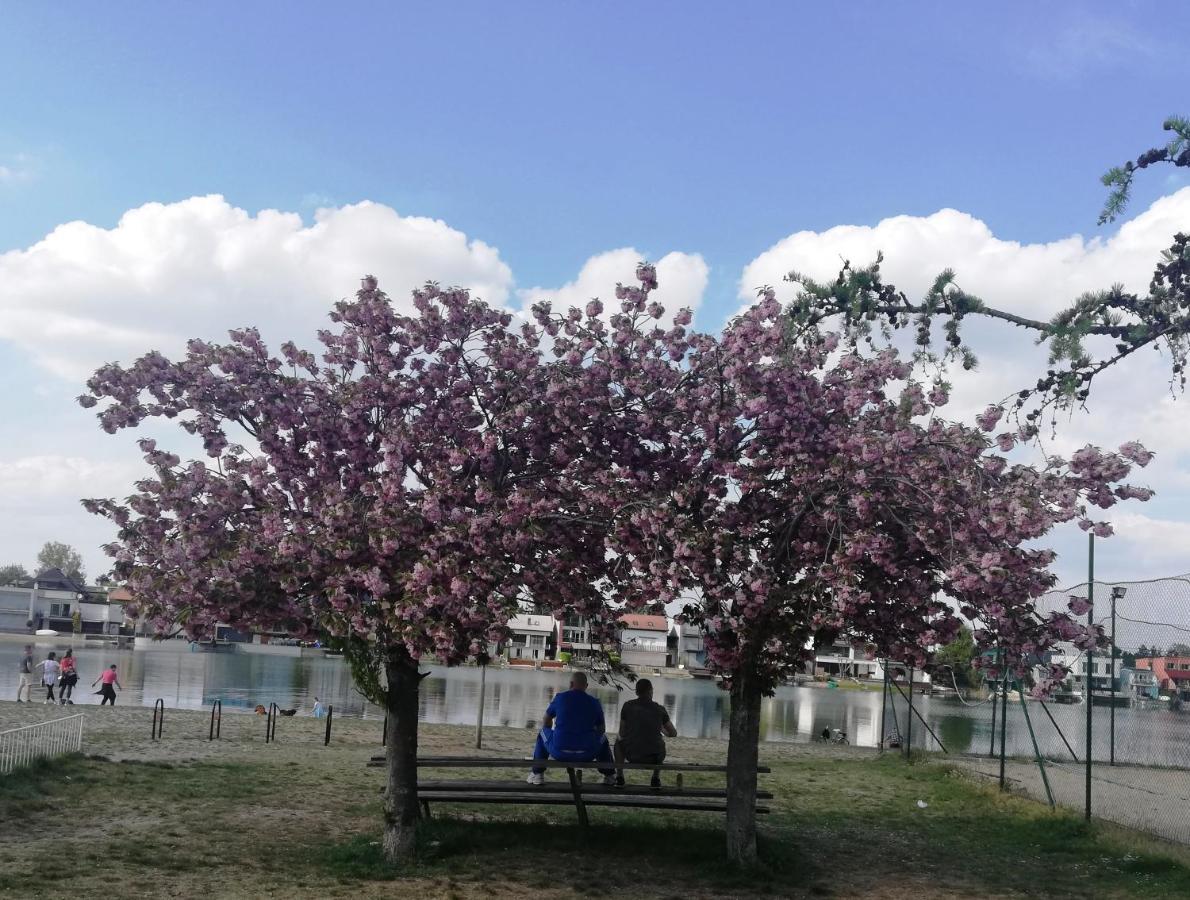Galeria Stastie Daire Senec Dış mekan fotoğraf